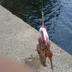 人が多い中の釣り